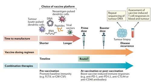 个性化新抗原肿瘤疫苗的研究进展和挑战